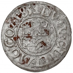 Jülich-Kleve-Berg, Wilhelm V, 1/2 stüber 1585