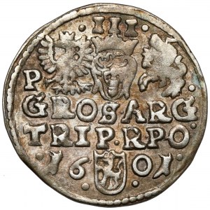 Zikmund III Vasa, Trojak Poznaň 1601 - písmeno P