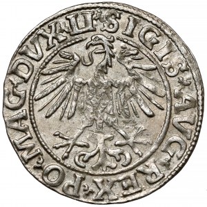 Zikmund II August, půlpenny Vilnius 1551