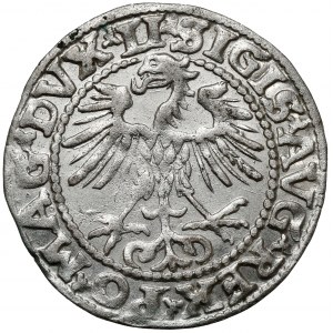 Zikmund II August, půlpenny Vilnius 1552