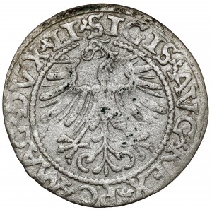 Zikmund II August, půlpenny Vilnius 1562 - REVOLVOVANÁ sekera