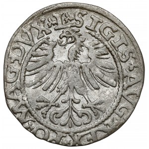 Zikmund II August, pologramotný Vilnius 1562 - TOPOR - M*AGNI