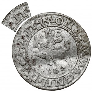 Sigismund II Augustus, Vilnius 1563 halber Pfennig - kleiner Pogo - selten