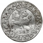 Sigismund II Augustus, Vilnius 1563 halber Pfennig - kleiner Pogo - selten