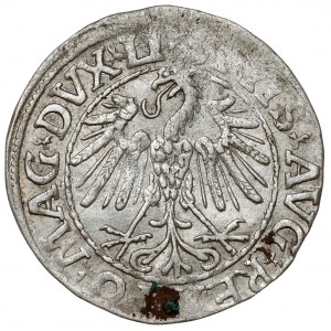 Žigmund II August, polgroš Vilnius 1547