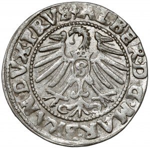 Prusy, Albrecht Hohenzollern, Grosz Królewiec 1547 - b.ładny