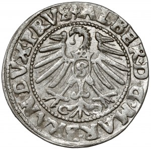 Prusko, Albrecht Hohenzollern, Grosz Königsberg 1547 - velmi pěkný