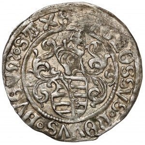 Sasko, Friedrich III, Johann a Georg, groš bez data (1500-1525)