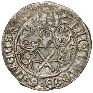 Sachsen, Friedrich III, Johann und Georg, Pfennig ohne Datum (1500-1525)