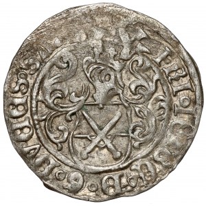 Sasko, Friedrich III, Johann a Georg, groš bez dátumu (1500-1525)