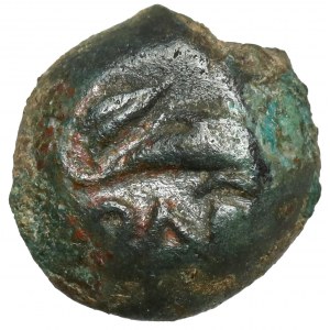 Greece, Thrace, Olbia,AE9 (325-320 BC)