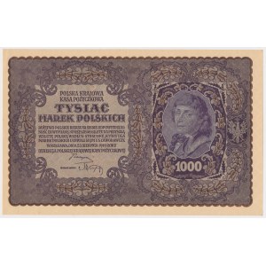 1.000 mkp 1919 - I Serja DP (Mił.29b)
