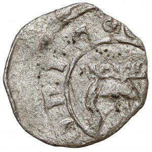Kazimír III Veľký, krakovský denár bez dátumu