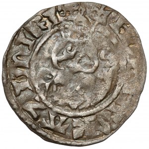 Kasimir III. der Große, Halbpfennig (Quarto) Krakau - Typ VI