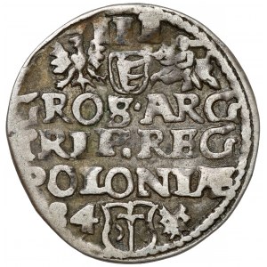 Stefan Batory, Trojak Poznań 1584 - mała głowa