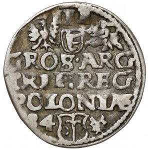 Stefan Batory, Trojak Poznań 1584 - kleiner Kopf