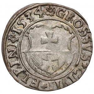 Žigmund I. Starý, groš Elbląg 1534