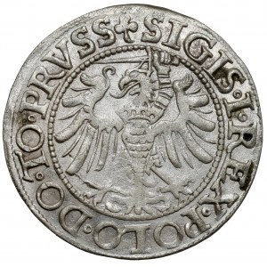 Žigmund I. Starý, groš Elbląg 1539 - vľavo