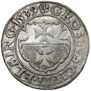 Sigismund I. der Alte, Pfennig Elbląg 1539 - rechts