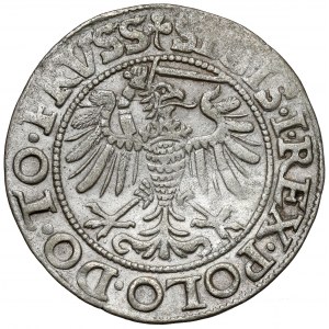 Sigismund I. der Alte, Pfennig Elbląg 1539 - rechts