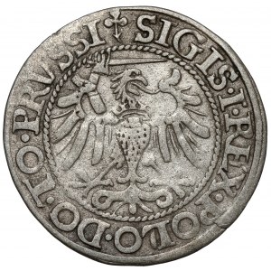 Žigmund I. Starý, groš Elbląg 1540 - posledný