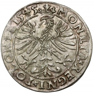Sigismund I. der Alte, Grosz Kraków 1545 - selten