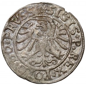 Žigmund I. Starý, Elblag 1534 - veľmi vzácne