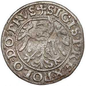 Žigmund I. Starý, Elbląg 1539