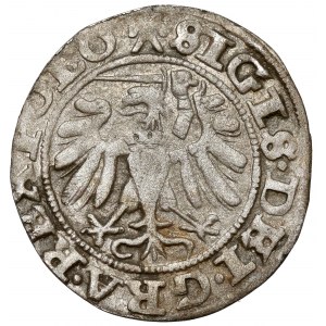 Sigismund I. der Alte, Szeląg Danzig 1540