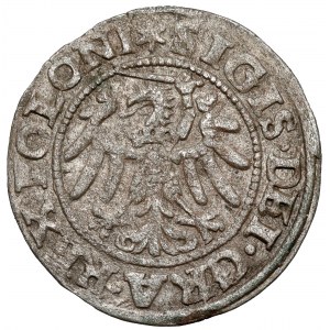 Sigismund I. der Alte, Szeląg Danzig 1546