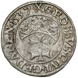 Sigismund I. der Alte, Danziger Pfennig 1537 - selten