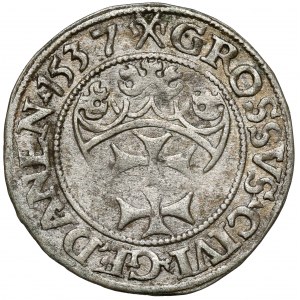 Zikmund I. Starý, gdaňský groš 1537 - vzácný