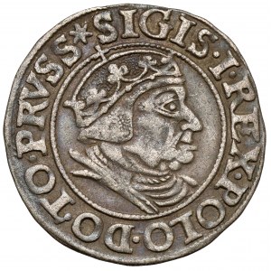 Sigismund I. der Alte, Grosz Gdańsk 1538