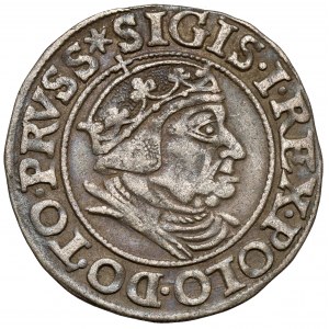 Zygmunt I Stary, Grosz Gdańsk 1538