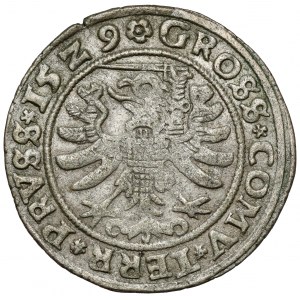 Žigmund I. Starý, Grosz Toruń 1529