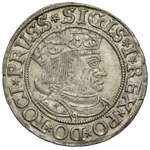 Sigismund I. der Alte, Grosz Toruń 1533