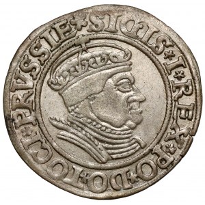 Sigismund I. der Alte, Grosz Toruń 1534 - in Mütze