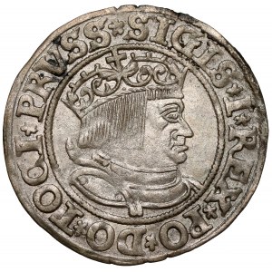 Sigismund I. der Alte, Grosz Toruń 1534 - mit Haar