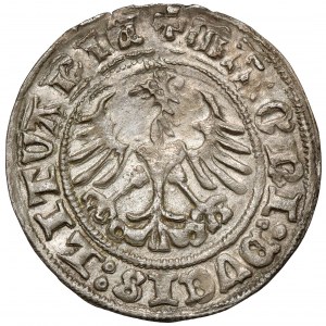 Sigismund I. der Alte, Halber Pfennig Vilnius 1511