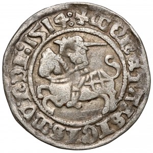 Sigismund I. der Alte, Halber Pfennig Vilnius 1514