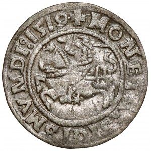 Žigmund I. Starý, Półgrosz Wilno 1519
