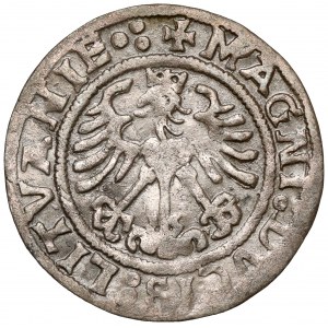 Sigismund I. der Alte, Półgrosz Wilno 1519