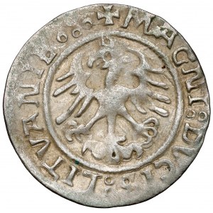 Sigismund I. der Alte, Halber Pfennig Vilnius 1522