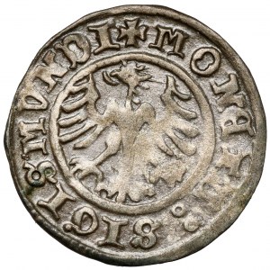 Sigismund I. der Alte, Halbpfennig Krakau 1510