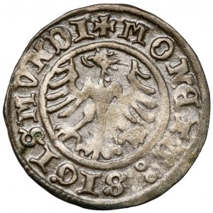 Zikmund I. Starý, půlgroše Krakov 1510