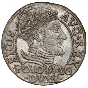 Žigmund II August, Grosz na stopa polską 1547, Vilnius
