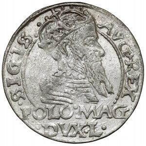 Zygmunt II August, Grosz na stopa polską 1566, Tykocin