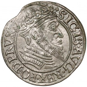 Zygmunt II August, Grosz Gdańsk 1557 - duża głowa - b. rzadka