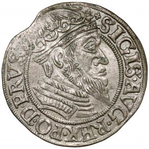 Žigmund II August, gdanský groš 1557 - veľká hlava - veľmi vzácny