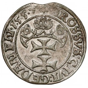 Zygmunt II August, Grosz Gdańsk 1557 - duża głowa - b. rzadka